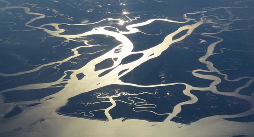 From an aerial point of view, several winding rivers shine under the sun. 